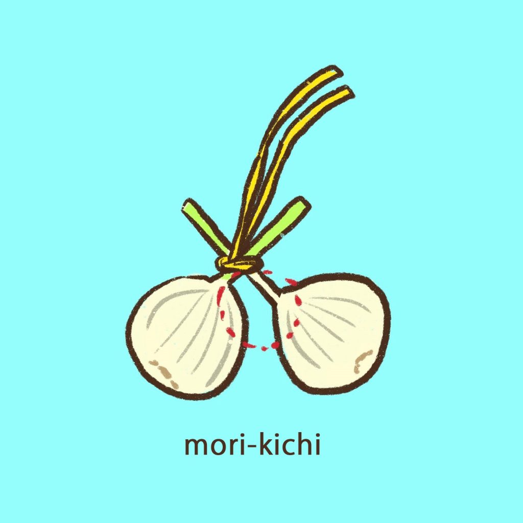 ニンニクの収穫時期はいつ ニンニク収穫後の保存方法 家庭菜園 初心者